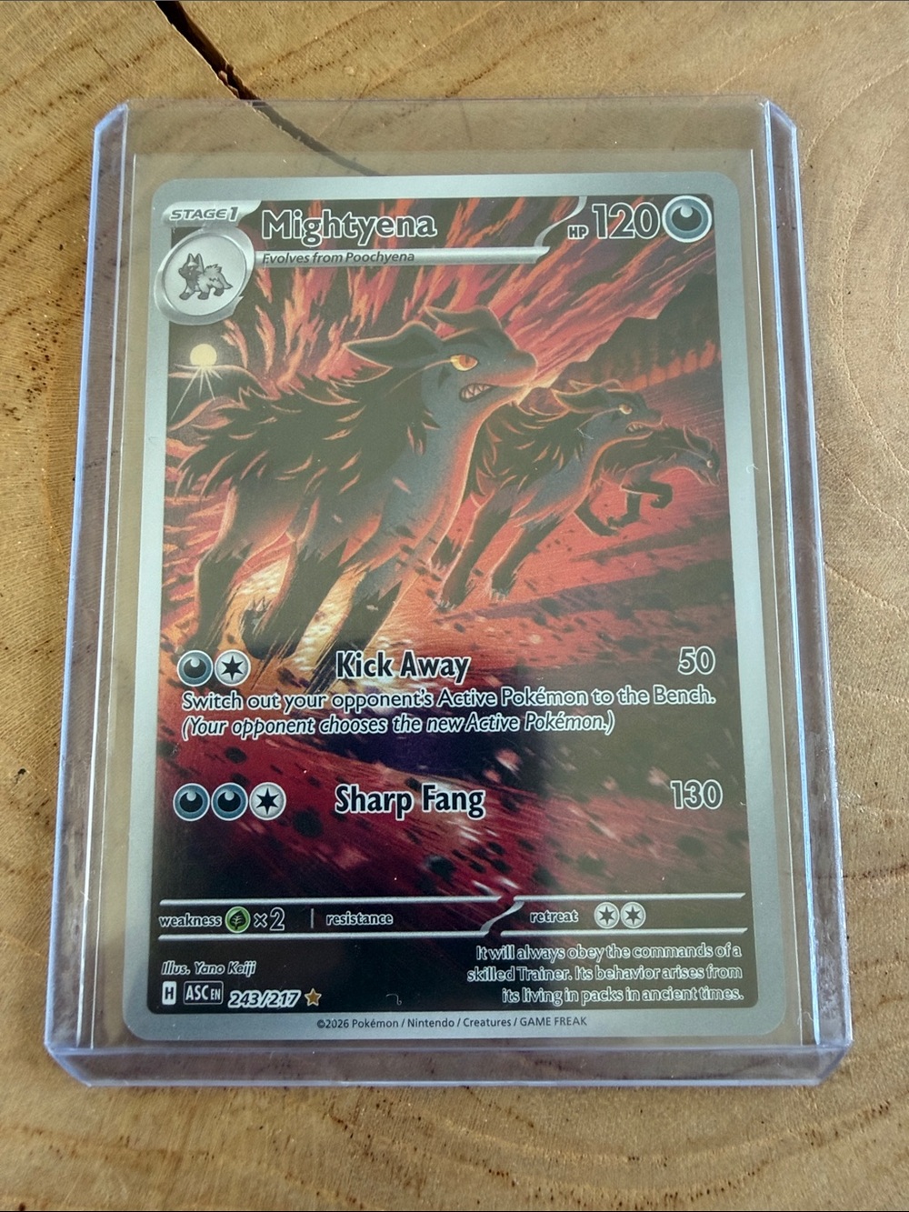 Mightyena IR 243 from Ascended Heroes